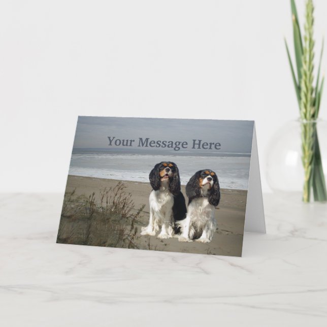 Cavalier King Charles Spaniel Greeting Card (Front)