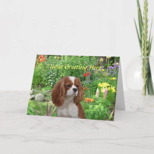 Cavalier King Charles Spaniel Greeting Card (Front)