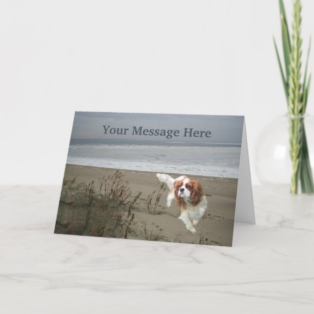 Cavalier King Charles Spaniel Greeting Card (Front)