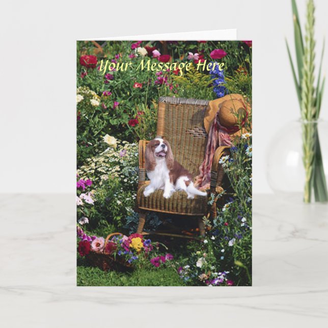 Cavalier King Charles Spaniel Greeting Card (Front)