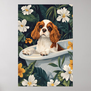 Cavalier King Charles Spaniel In Bathtub Poster