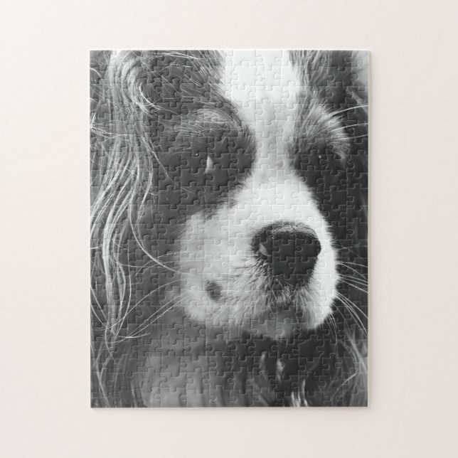 Cavalier King Charles Spaniel Jigsaw Puzzle (Vertical)