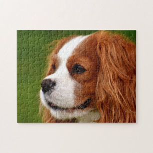 Cavalier King Charles Spaniel Jigsaw Puzzle
