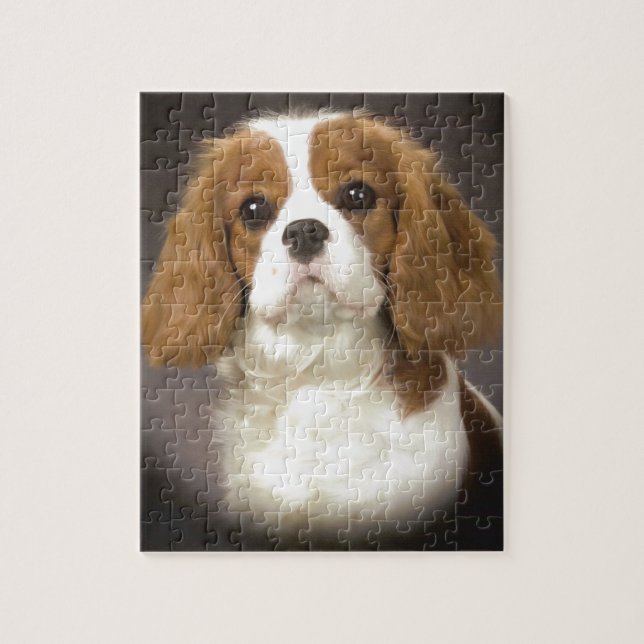 Cavalier King Charles Spaniel Jigsaw Puzzle (Vertical)