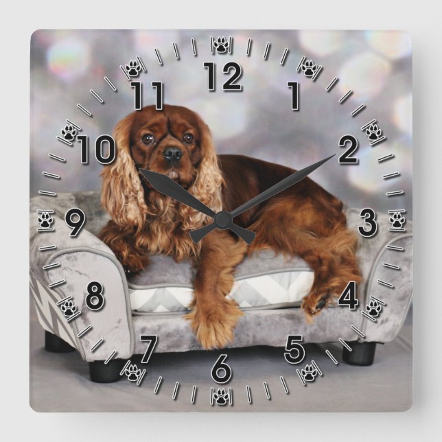 Cavalier King Charles Spaniel - Keesje Square Wall Clock (Front)