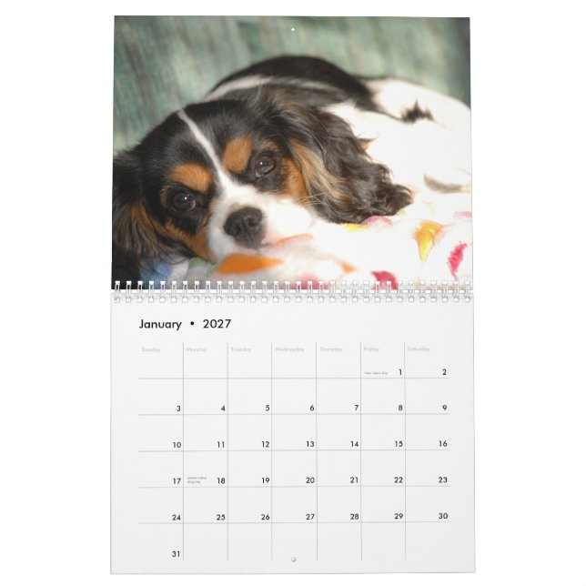 Cavalier King Charles Spaniel Love! - Customised Calendar (Jan 2027)