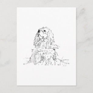 Cavalier King Charles Spaniel, Minimalist Art Postcard