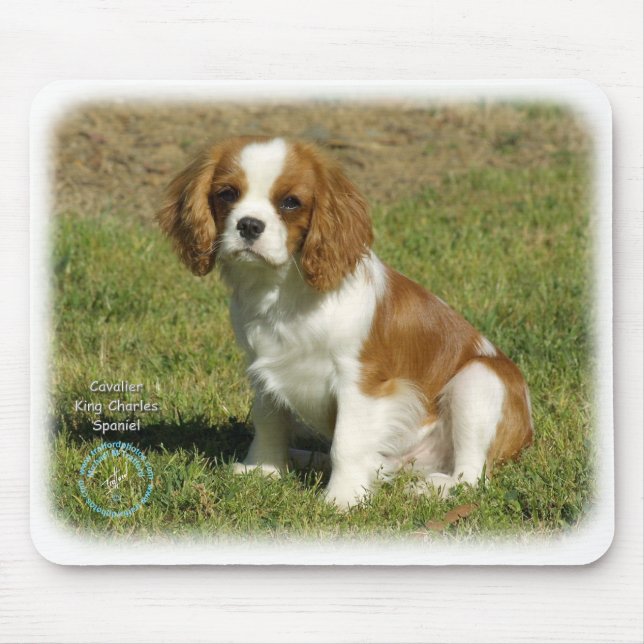 Cavalier King Charles Spaniel Mouse Pad (Front)