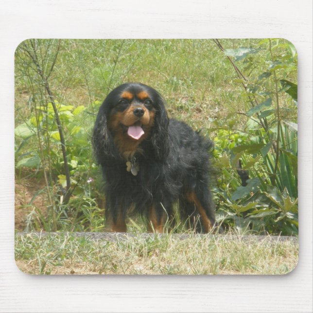 Cavalier King Charles Spaniel Mouse Pad (Front)