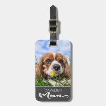 Cavalier King Charles Spaniel Mum Dog's Photo