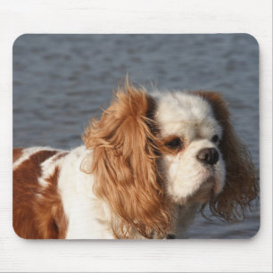 Cavalier King Charles Spaniel on Beach Mousepad