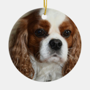 Cavalier King Charles Spaniel Ornament