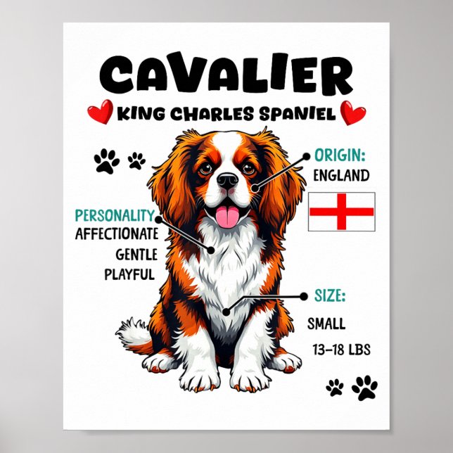 Cavalier King Charles Spaniel Owner Funny Dog Love Poster (Front)