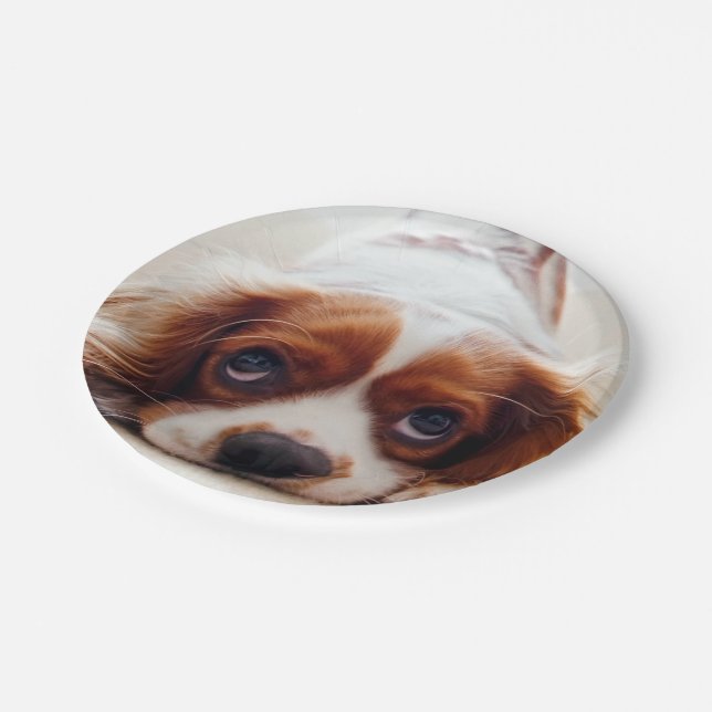 Cavalier King Charles Spaniel Paper Plate (Angled)