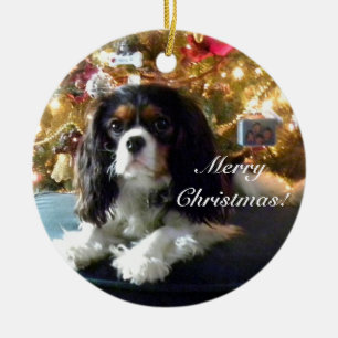 Cavalier King Charles Spaniel Personalise Ornament