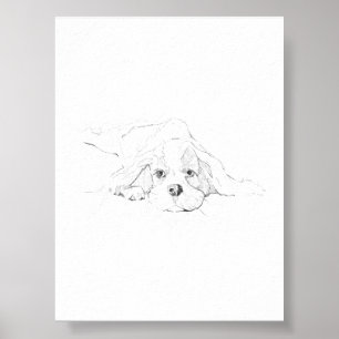 Cavalier King Charles Spaniel Pet Poster