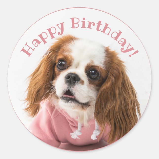 Cavalier King Charles Spaniel Pink Happy Birthday Classic Round Sticker (Front)