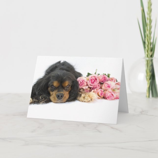 Cavalier King Charles Spaniel Pink Roses Dog Blank Card (Front)