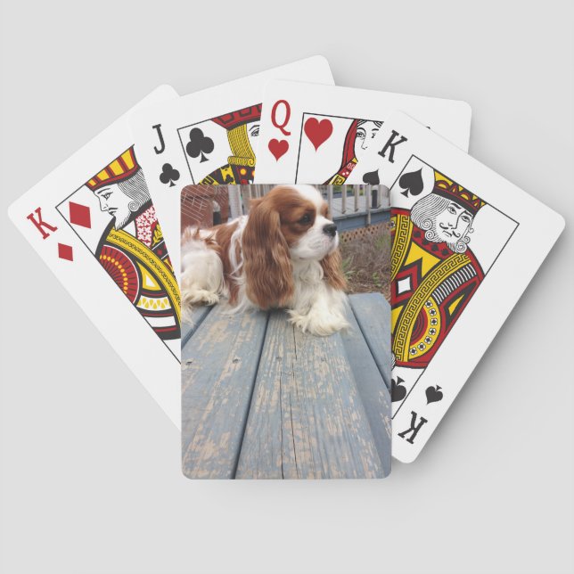 Cavalier King Charles Spaniel Playing Cards (Back)