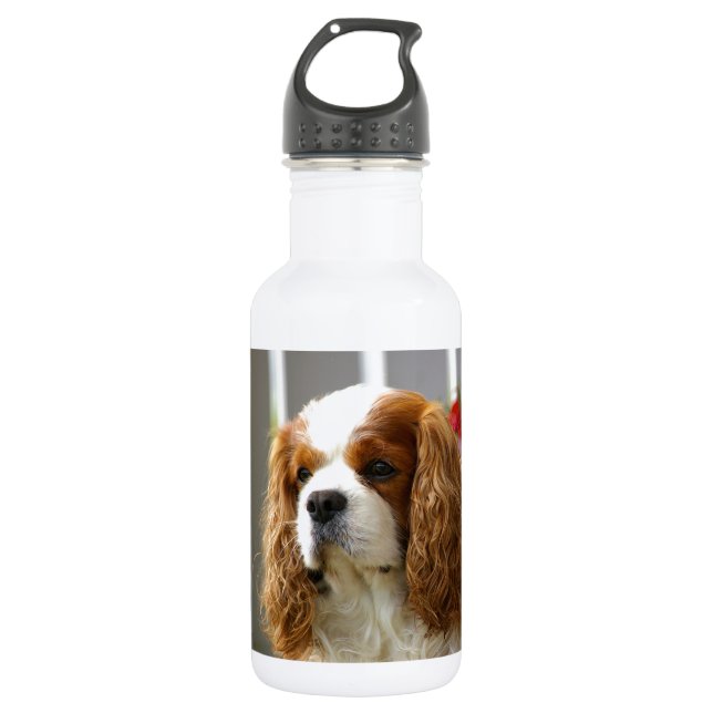 Cavalier King Charles Spaniel Portrait 532 Ml Water Bottle (Front)