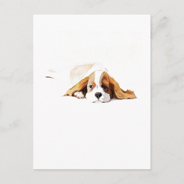 Cavalier King Charles Spaniel Postcard Gift (Front)