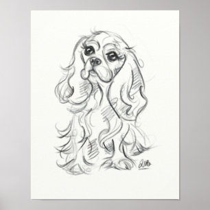 Cavalier king charles spaniel print   sketch art