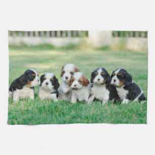 Cavalier King Charles Spaniel puppies Tea Towel