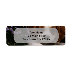 Cavalier King Charles Spaniel Puppy behind flowers