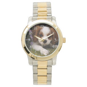Cavalier King Charles Spaniel Puppy behind flowers Watch