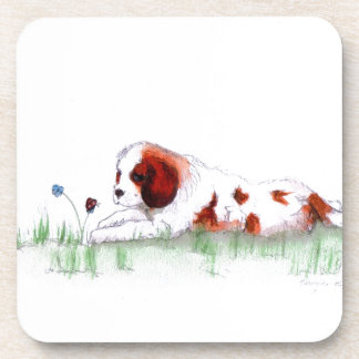 Cavalier King Charles Spaniel puppy CKC Coaster