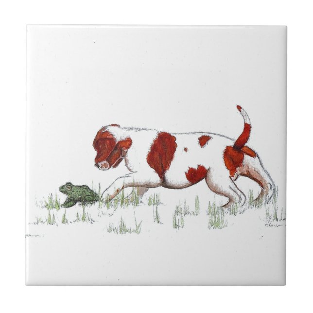 Cavalier King Charles Spaniel  puppy CKC Tile (Front)