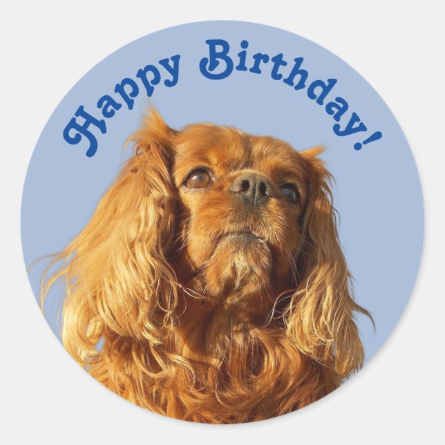 Cavalier King Charles Spaniel Puppy Dog Blue Party Classic Round Sticker (Front)