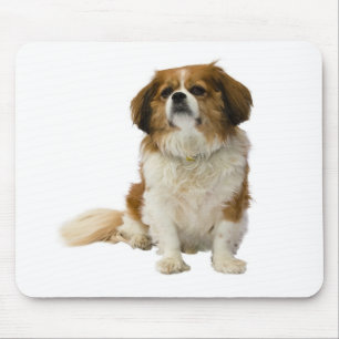 Cavalier King Charles Spaniel Puppy Dog Mousepad