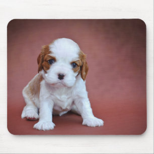 Cavalier King Charles Spaniel puppy Mouse Pad