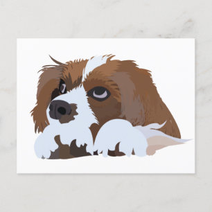 Cavalier King Charles Spaniel Puppy Postcard