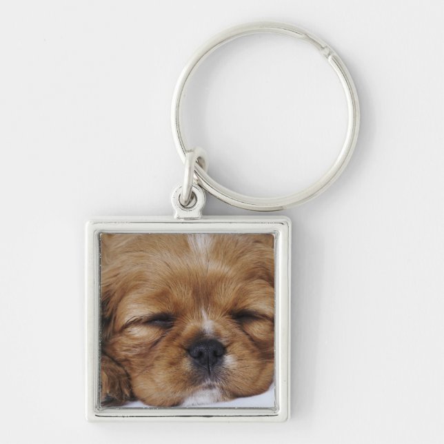 Cavalier King Charles Spaniel puppy sleeping Key Ring (Front)