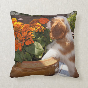 Cavalier King Charles Spaniel Puppy Smells Flowers Cushion