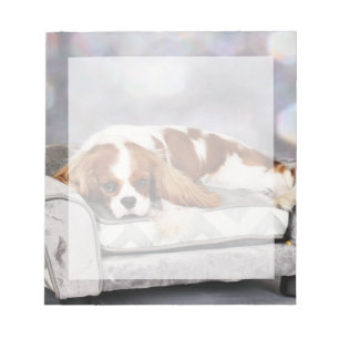 Cavalier King Charles Spaniel - Remington Notepad