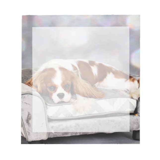 Cavalier King Charles Spaniel - Remington Notepad (Front)