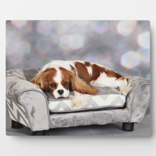 Cavalier King Charles Spaniel - Remington Plaque