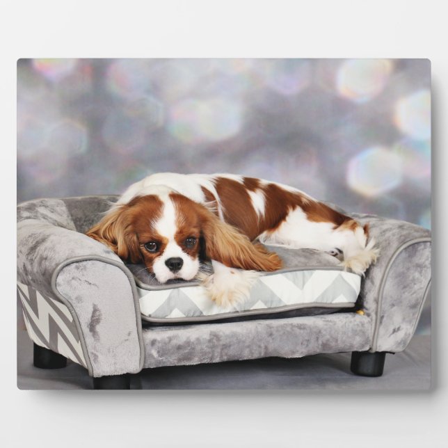 Cavalier King Charles Spaniel - Remington Plaque (Front)