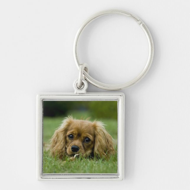 Cavalier King Charles Spaniel Ruby Key Ring (Front)