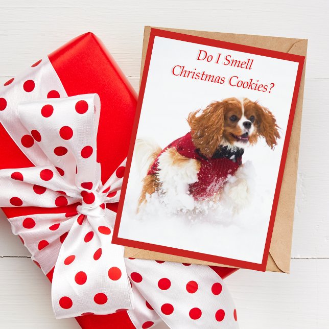 Cavalier King Charles Spaniel Running In Snow Card (A cute Christmas card featuring Sadie the Cavalier King Charles Spaniel. )