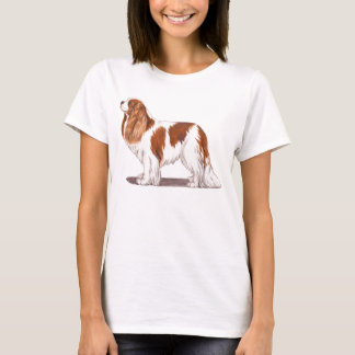 Cavalier king charles spaniel shirt