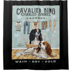 Cavalier King Charles Spaniel Shower Curtain