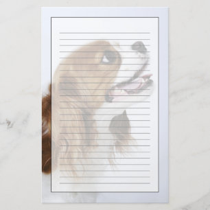 Cavalier King Charles Spaniel, side view Stationery