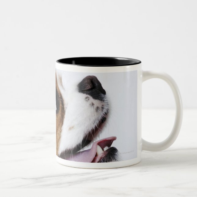 Cavalier King Charles Spaniel, side view Two-Tone Coffee Mug (Right)