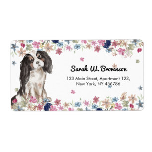 Cavalier King Charles Spaniel Small Size Dog