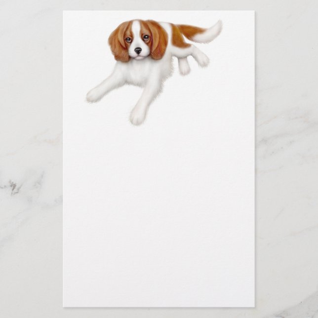 Cavalier King Charles Spaniel Stationery (Front)