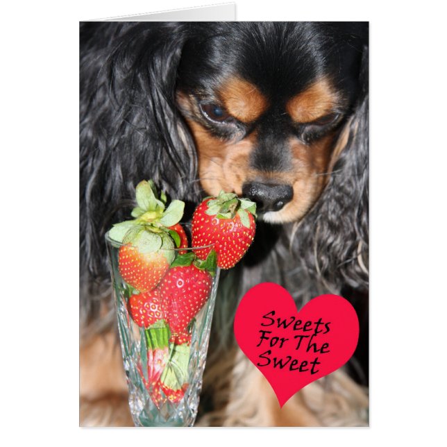 Cavalier King Charles Spaniel Strawberries Card (Front)